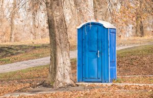 porta potty under a tree